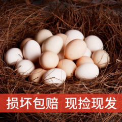 貴州長順新鮮土雞蛋30枚裝 早餐食材農家草雞蛋柴雞蛋粉殼雞蛋